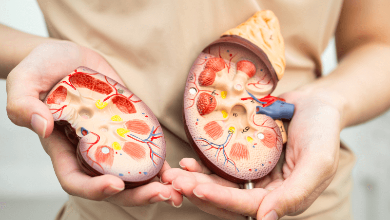 kidney-stone-treatment